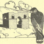 Султан–Салэ